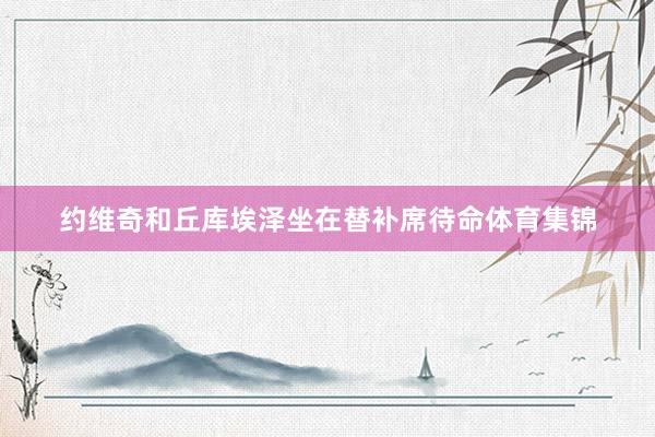 约维奇和丘库埃泽坐在替补席待命体育集锦