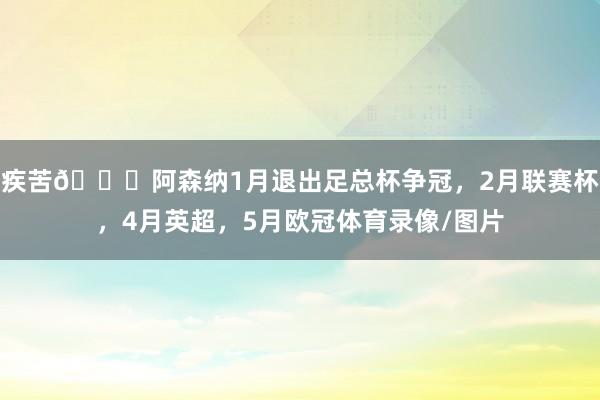 疾苦😞阿森纳1月退出足总杯争冠，2月联赛杯，4月英超，5月欧冠体育录像/图片