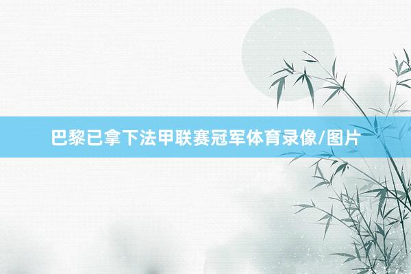 巴黎已拿下法甲联赛冠军体育录像/图片