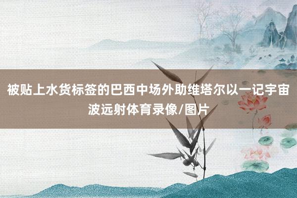 被贴上水货标签的巴西中场外助维塔尔以一记宇宙波远射体育录像/图片