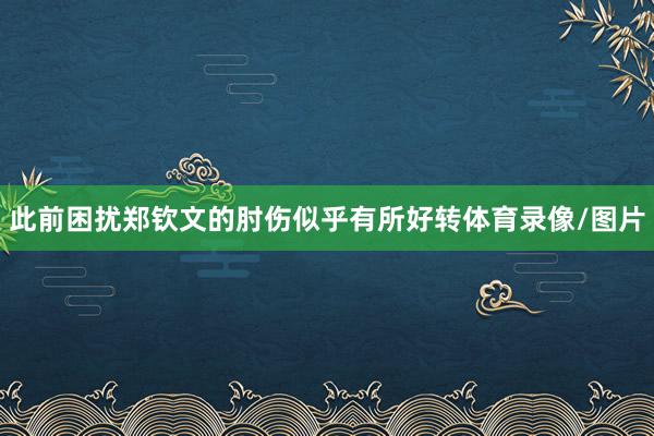 此前困扰郑钦文的肘伤似乎有所好转体育录像/图片