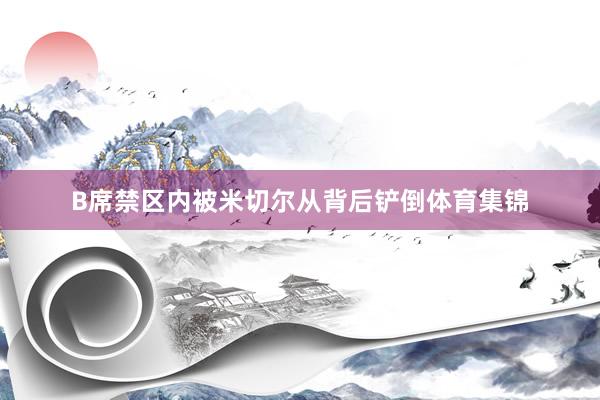 B席禁区内被米切尔从背后铲倒体育集锦