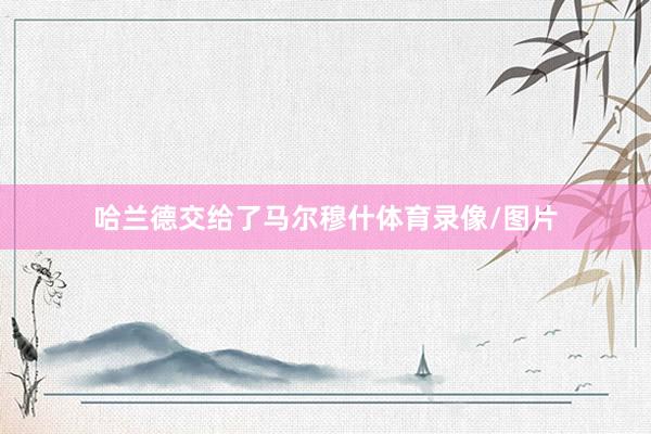 哈兰德交给了马尔穆什体育录像/图片