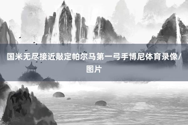 国米无尽接近敲定帕尔马第一弓手博尼体育录像/图片