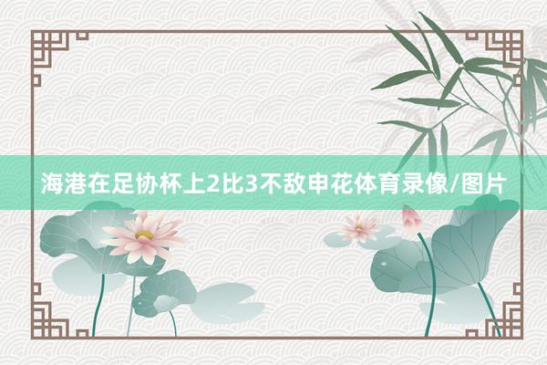 海港在足协杯上2比3不敌申花体育录像/图片