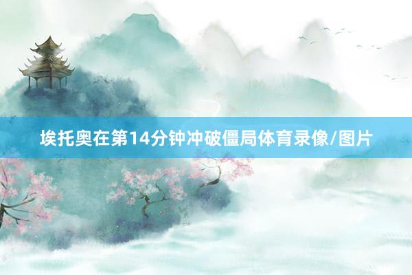 埃托奥在第14分钟冲破僵局体育录像/图片