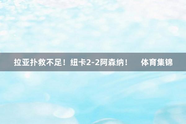 拉亚扑救不足！纽卡2-2阿森纳！    体育集锦