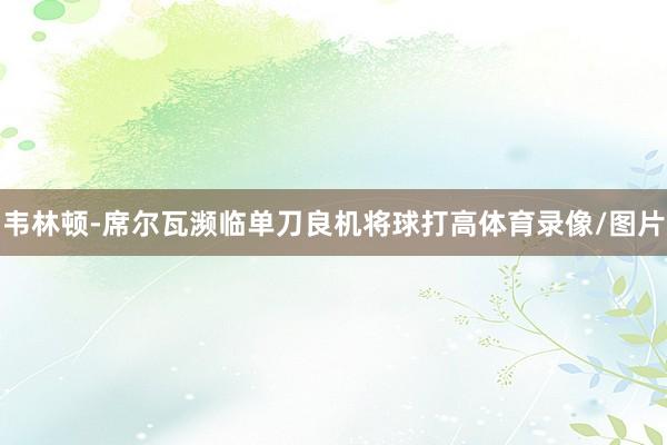 韦林顿-席尔瓦濒临单刀良机将球打高体育录像/图片