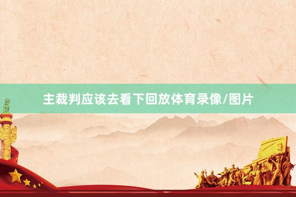 主裁判应该去看下回放体育录像/图片