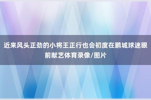 近来风头正劲的小将王正行也会初度在鹏城球迷眼前献艺体育录像/图片
