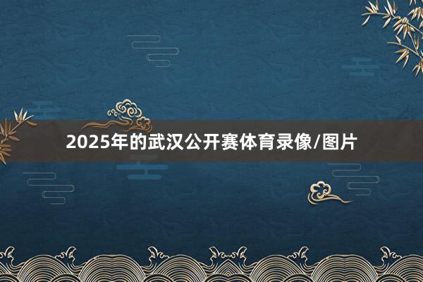 2025年的武汉公开赛体育录像/图片